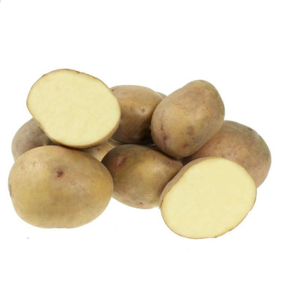 Семенной картофель Жуковский в Клину. Цена товара цена по запросу, нет вналичии - BLIZKO