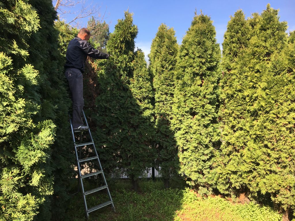 Вертикальное озеленение от компании Благоюг в городе Краснодар