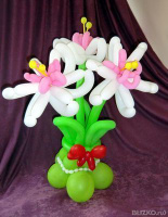 Букет цветов из воздушных шаров " Хризантемы" с доставкой