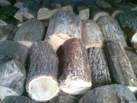 Не колотые дрова ("чурки"), осина, доставка в Тосно
