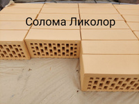 Кирпич керамический облицовочный утолщенный Солома Ликолор