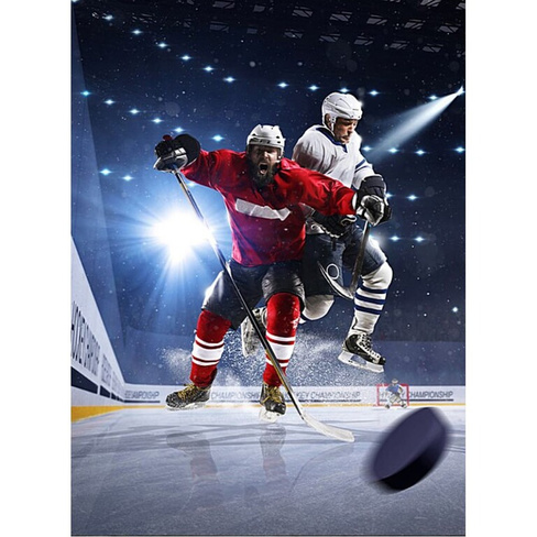 Фотообои Студия фотообоев Хоккей на льду