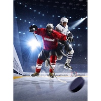 Фотообои Студия фотообоев Хоккей на льду