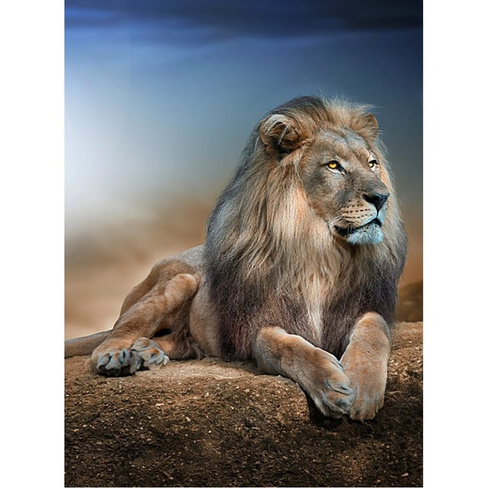 Фотообои Студия фотообоев Лев на камне