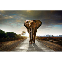 Фотообои Студия фотообоев Слон на дороге