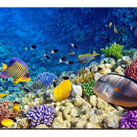 Фотообои Студия фотообоев Подводный мир