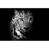 Фотообои Студия фотообоев Леопард