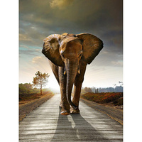 Фотообои Студия фотообоев Слон на дороге