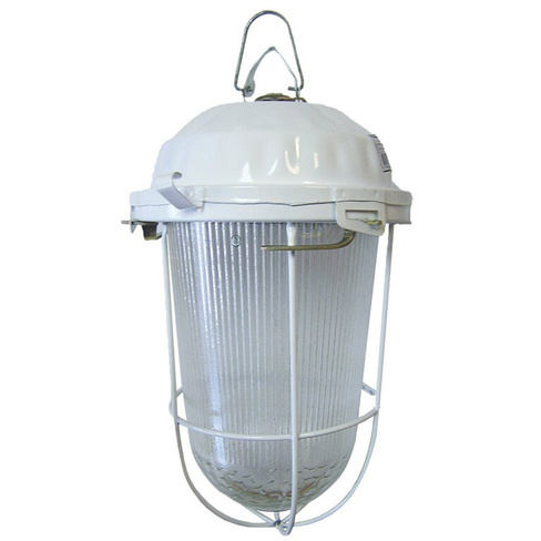 Светильник TDM Electric, НСП 02-200-022.01 У2, 200 Вт, E27, IP52, с решеткой, стекло, крюк, в сборе, индивидуальная упак