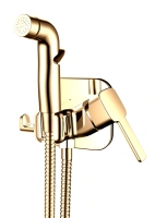 Гигиенический душ Rush Capri (CA1435-99G)