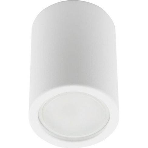 Накладной декоративный светильник Fametto DLC-S601