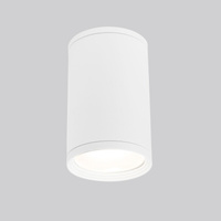 Накладной влагозащищенный светильник IP65 Light 2101 35128/H белый