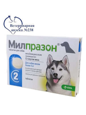 Милпразон для собак весом более 5 кг от компании Ветеринарная аптека 238  купить в городе Краснодар