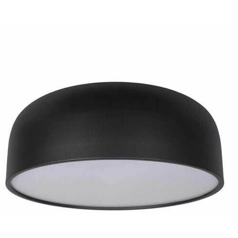 Люстры и потолочные светильники Loft IT 10201/480 Black