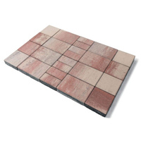 Тротуарная плитка Мозайка, Color Mix «Фламинго», h=60 мм(11,52 м2)