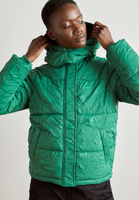 Зимняя куртка Desigual PADDED CALGARY, цвет jungle green
