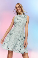 Кружевное мини-платье The Collector с аппликацией Coast, синий