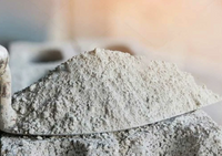 Строительная смесь цементно-песчаная основа, для торкретирования, Марка: С-60